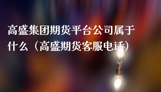 高盛集团期货平台公司属于什么（高盛期货客服电话）_https://www.iteshow.com_期货开户_第2张