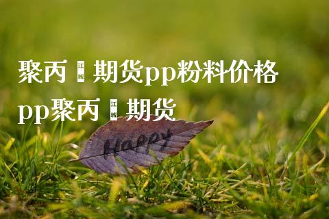 聚丙烯期货pp粉料价格 pp聚丙烯期货_https://www.iteshow.com_原油期货_第2张