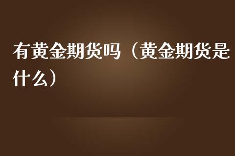 有黄金期货吗（黄金期货是什么）_https://www.iteshow.com_原油期货_第2张