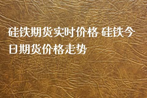 硅铁期货实时价格 硅铁今日期货价格走势_https://www.iteshow.com_期货手续费_第2张