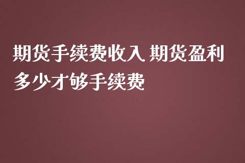 期货手续费收入 期货盈利多少才够手续费_https://www.iteshow.com_期货品种_第2张