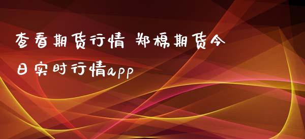 查看期货行情 郑棉期货今日实时行情app_https://www.iteshow.com_期货交易_第2张