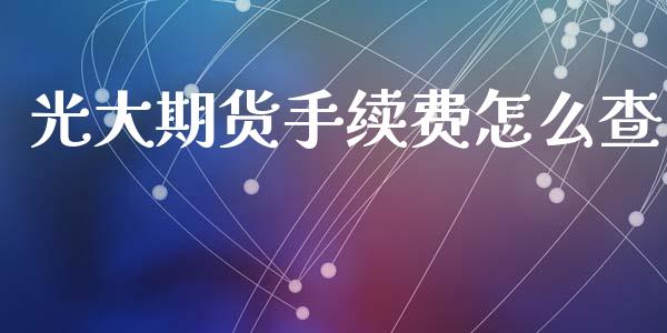 光大期货手续费怎么查_https://www.iteshow.com_商品期权_第2张