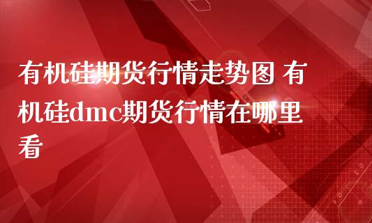 有机硅期货行情走势图 有机硅dmc期货行情在哪里看_https://www.iteshow.com_期货百科_第2张