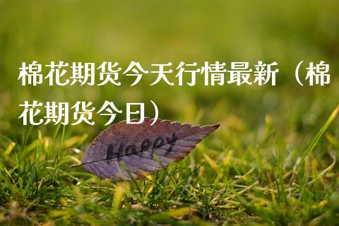 棉花期货今天行情最新（棉花期货今日）_https://www.iteshow.com_原油期货_第2张