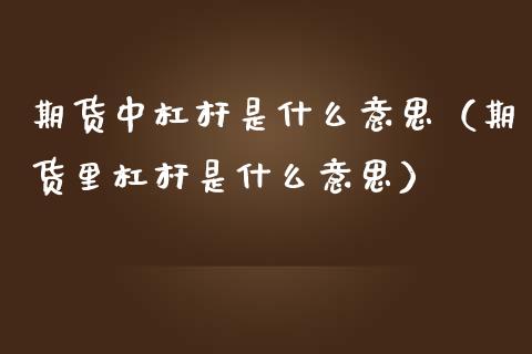 期货中杠杆是什么意思（期货里杠杆是什么意思）_https://www.iteshow.com_期货公司_第2张