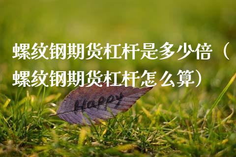 螺纹钢期货杠杆是多少倍（螺纹钢期货杠杆怎么算）_https://www.iteshow.com_股指期权_第2张