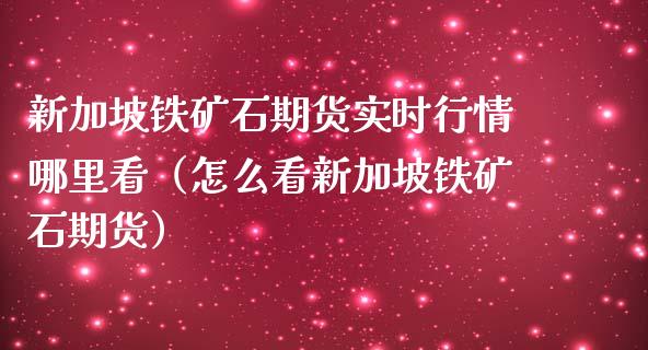 新加坡铁矿石期货实时行情哪里看（怎么看新加坡铁矿石期货）_https://www.iteshow.com_期货品种_第2张