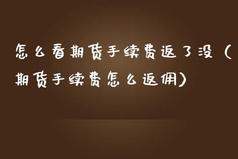 怎么看期货手续费返了没（期货手续费怎么返佣）_https://www.iteshow.com_商品期权_第2张