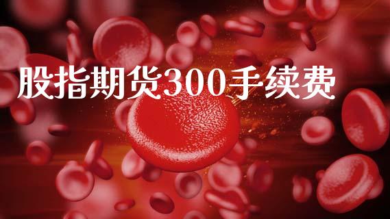 股指期货300手续费_https://www.iteshow.com_期货公司_第2张