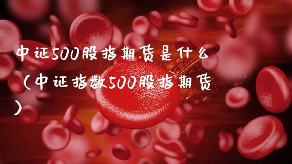 中证500股指期货是什么（中证指数500股指期货）_https://www.iteshow.com_商品期货_第2张