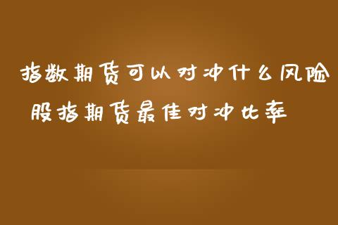 指数期货可以对冲什么风险 股指期货最佳对冲比率_https://www.iteshow.com_期货公司_第2张