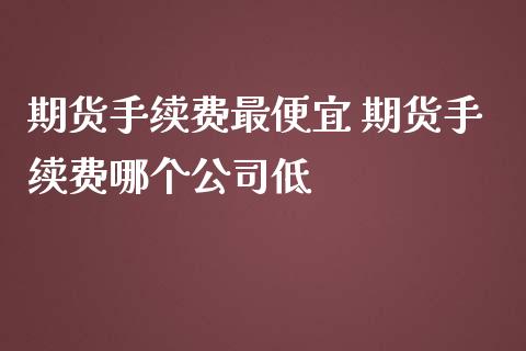 期货手续费最便宜 期货手续费哪个公司低_https://www.iteshow.com_商品期货_第2张