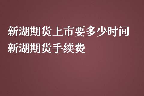 新湖期货上市要多少时间 新湖期货手续费_https://www.iteshow.com_期货知识_第2张