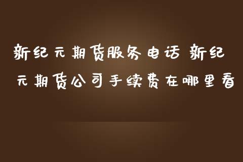 新纪元期货服务电话 新纪元期货公司手续费在哪里看_https://www.iteshow.com_商品期权_第2张