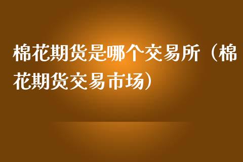 棉花期货是哪个交易所（棉花期货交易市场）_https://www.iteshow.com_股指期权_第2张