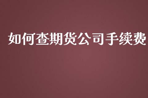 如何查期货公司手续费_https://www.iteshow.com_股指期权_第2张