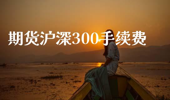 期货沪深300手续费_https://www.iteshow.com_股指期货_第2张