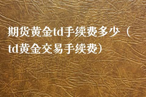 期货黄金td手续费多少（td黄金交易手续费）_https://www.iteshow.com_期货开户_第2张