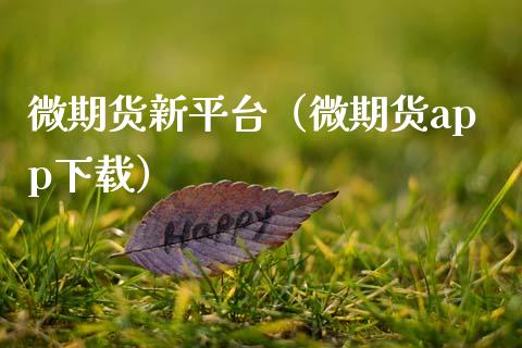 微期货新平台（微期货app下载）_https://www.iteshow.com_期货开户_第2张