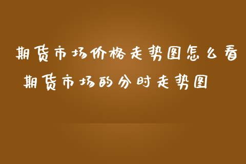 期货市场价格走势图怎么看 期货市场的分时走势图_https://www.iteshow.com_期货交易_第2张