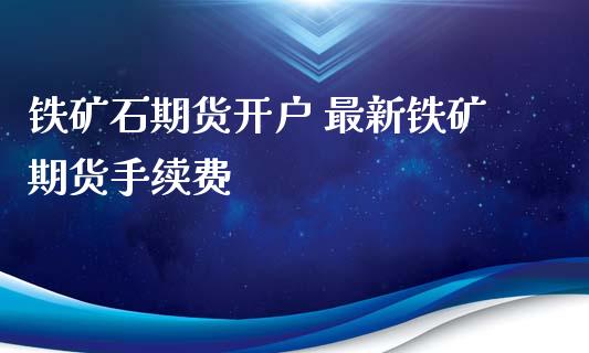 铁矿石期货开户 最新铁矿期货手续费_https://www.iteshow.com_期货品种_第2张