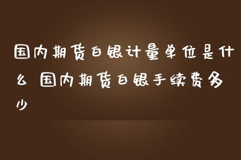 国内期货白银计量单位是什么 国内期货白银手续费多少_https://www.iteshow.com_期货开户_第2张