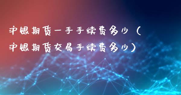 沪银期货一手手续费多少（沪银期货交易手续费多少）_https://www.iteshow.com_原油期货_第2张