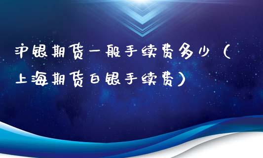 沪银期货一般手续费多少（上海期货白银手续费）_https://www.iteshow.com_期货开户_第2张