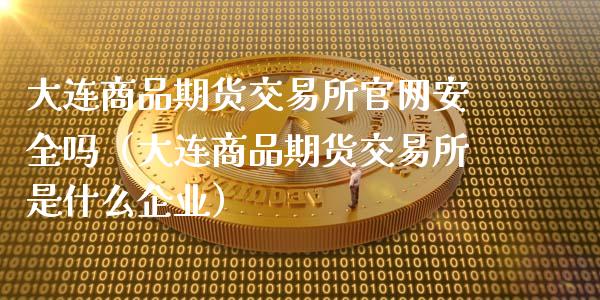 大连商品期货交易所官网安全吗（大连商品期货交易所是什么企业）_https://www.iteshow.com_期货开户_第2张