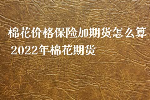 棉花价格保险加期货怎么算 2022年棉花期货_https://www.iteshow.com_股指期权_第2张