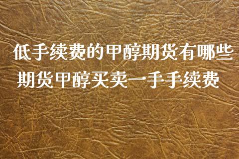 低手续费的甲醇期货有哪些 期货甲醇买卖一手手续费_https://www.iteshow.com_期货交易_第2张