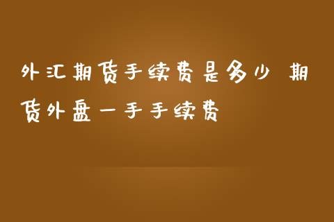 外汇期货手续费是多少 期货外盘一手手续费_https://www.iteshow.com_股指期货_第2张