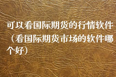 可以看国际期货的行情软件（看国际期货市场的软件哪个好）_https://www.iteshow.com_商品期货_第2张