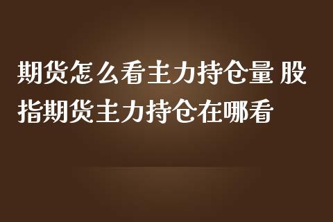 期货怎么看主力持仓量 股指期货主力持仓在哪看_https://www.iteshow.com_期货开户_第2张