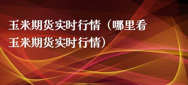 玉米期货实时行情（哪里看玉米期货实时行情）_https://www.iteshow.com_期货公司_第2张