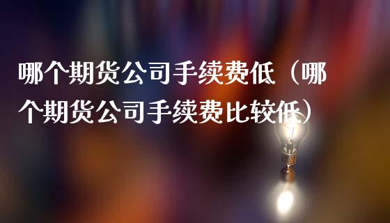 哪个期货公司手续费低（哪个期货公司手续费比较低）_https://www.iteshow.com_期货手续费_第2张