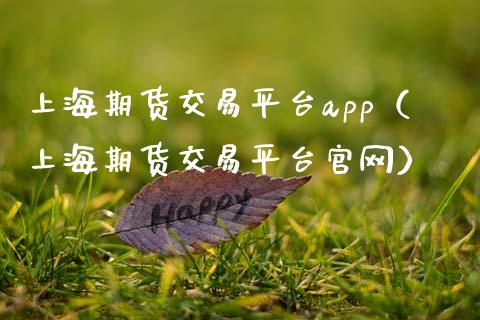 上海期货交易平台app（上海期货交易平台官网）_https://www.iteshow.com_期货开户_第2张