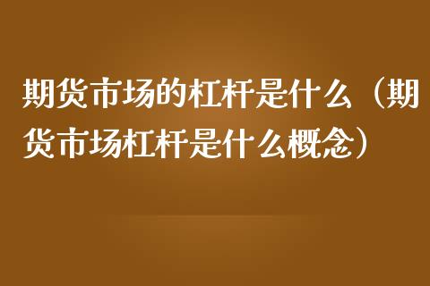 期货市场的杠杆是什么（期货市场杠杆是什么概念）_https://www.iteshow.com_期货公司_第2张