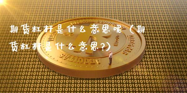 期货杠杆是什么意思呢（期货杠杆是什么意思?）_https://www.iteshow.com_期货交易_第2张