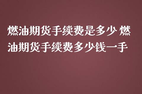 燃油期货手续费是多少 燃油期货手续费多少钱一手_https://www.iteshow.com_期货百科_第2张