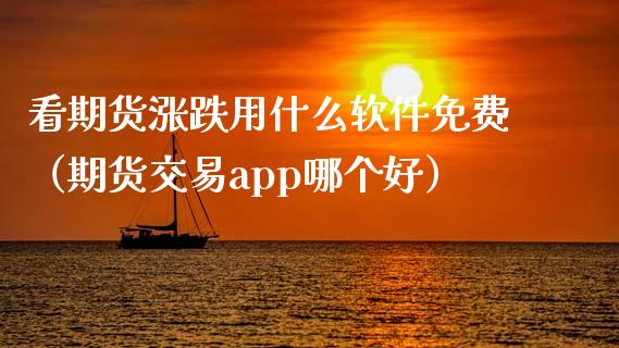 看期货涨跌用什么软件免费（期货交易app哪个好）_https://www.iteshow.com_股指期权_第2张