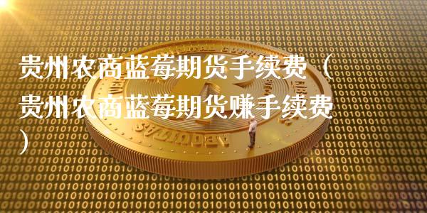 贵州农商蓝莓期货手续费（贵州农商蓝莓期货赚手续费）_https://www.iteshow.com_期货百科_第2张