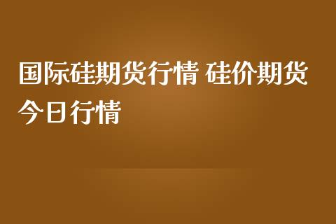 国际硅期货行情 硅价期货今日行情_https://www.iteshow.com_期货百科_第2张