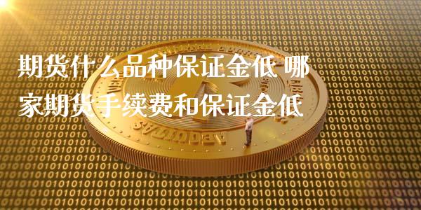 期货什么品种保证金低 哪家期货手续费和保证金低_https://www.iteshow.com_期货品种_第2张