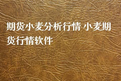 期货小麦分析行情 小麦期货行情软件_https://www.iteshow.com_期货手续费_第2张