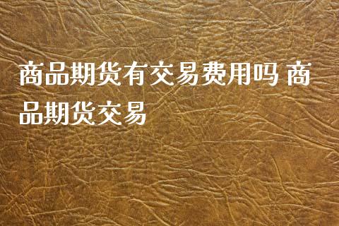 商品期货有交易费用吗 商品期货交易_https://www.iteshow.com_期货品种_第2张