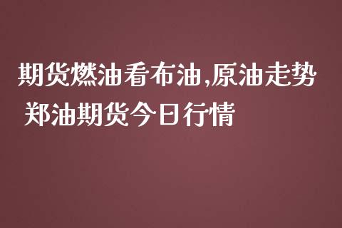 期货燃油看布油,原油走势 郑油期货今日行情_https://www.iteshow.com_期货手续费_第2张