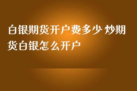 白银期货开户费多少 炒期货白银怎么开户_https://www.iteshow.com_商品期权_第2张