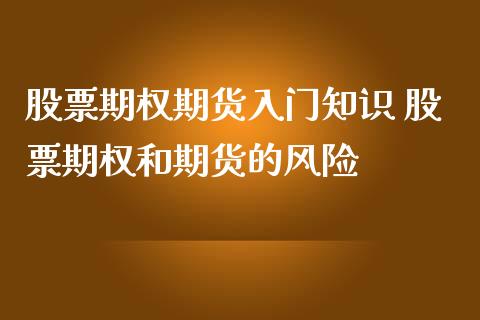 股票期权期货入门知识 股票期权和期货的风险_https://www.iteshow.com_期货百科_第2张